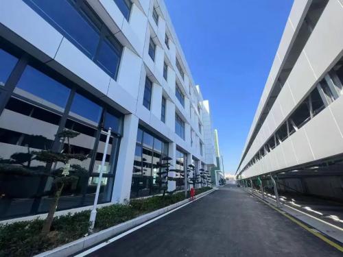 上海奉贤区办公楼装修和办公室及厂房装修2026年现状